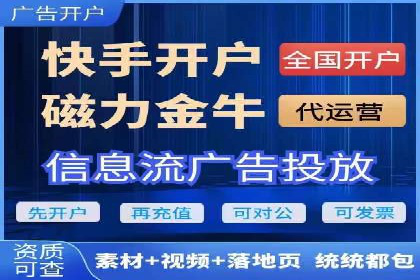 SEM外包服务应用案例分析